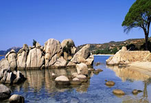 开云体育官网-红发狂风暴雨中获胜，拜仁慕尼黑实力无敌