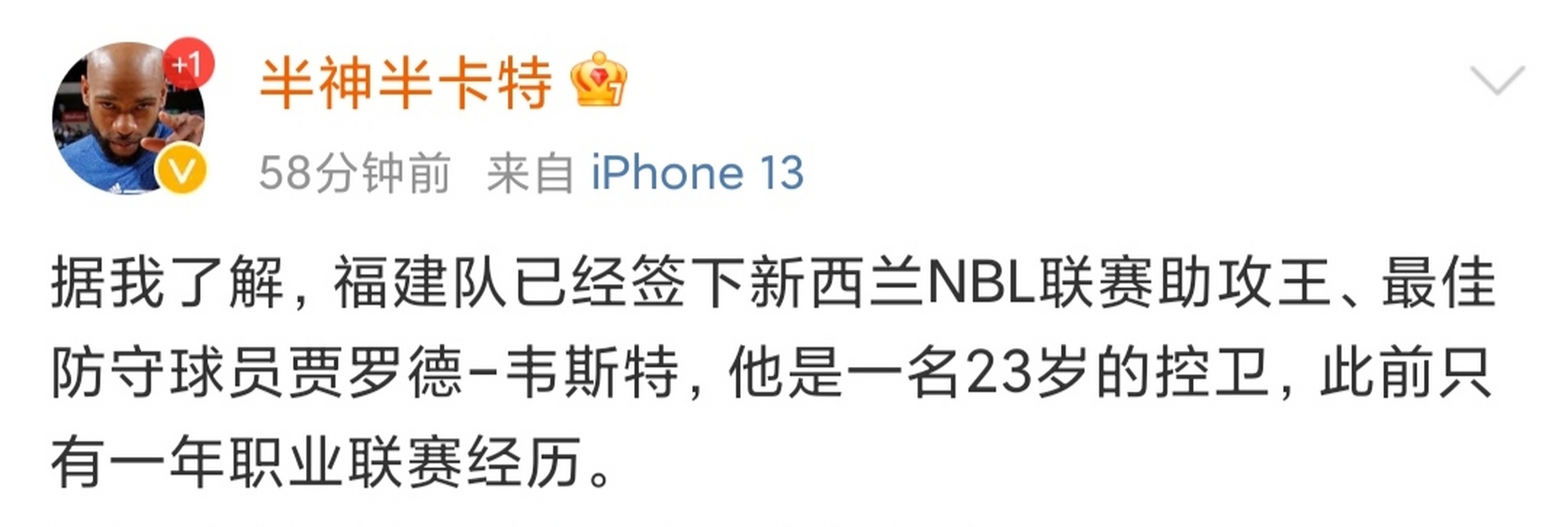 关于新西兰篮球界诸多消息集结的信息
