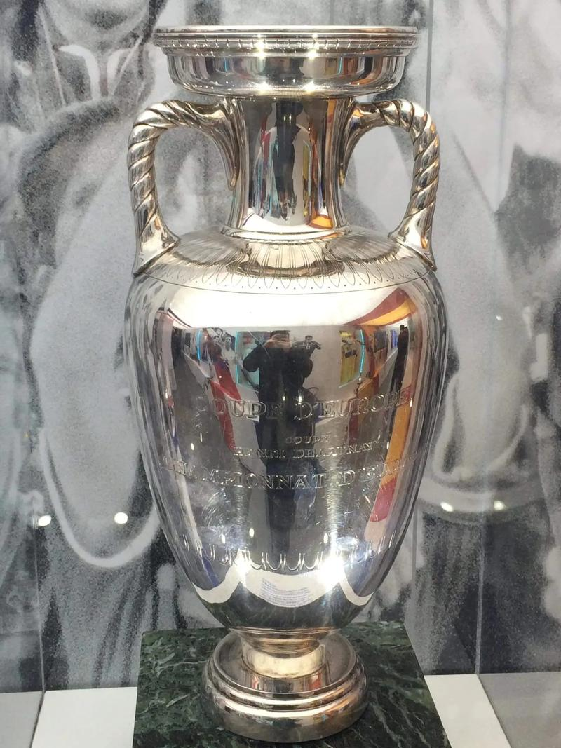 法国败北，再次错失欧洲杯奖杯