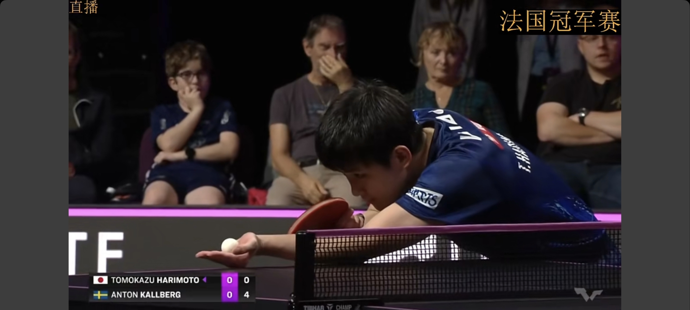 关于法国队碾压奥地利队，张本智和高光表现的信息